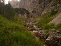 2014-08-02_06FritzPflaum-Steig (392).JPG